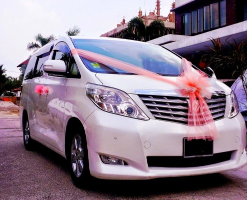 Alphard front