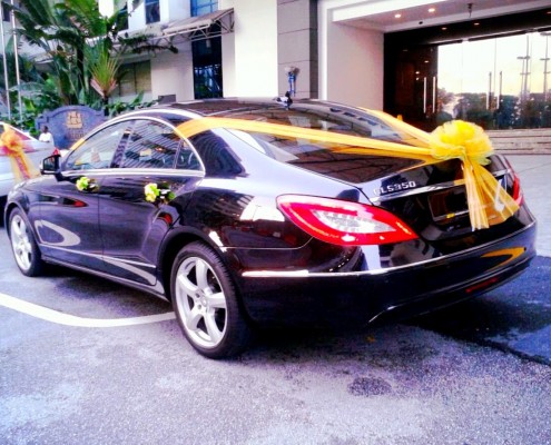 CLSw212 black rear