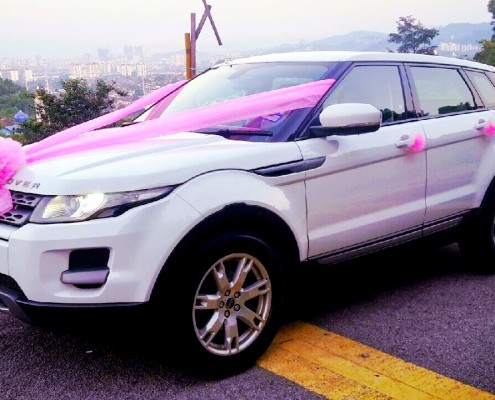 Evoque front 2